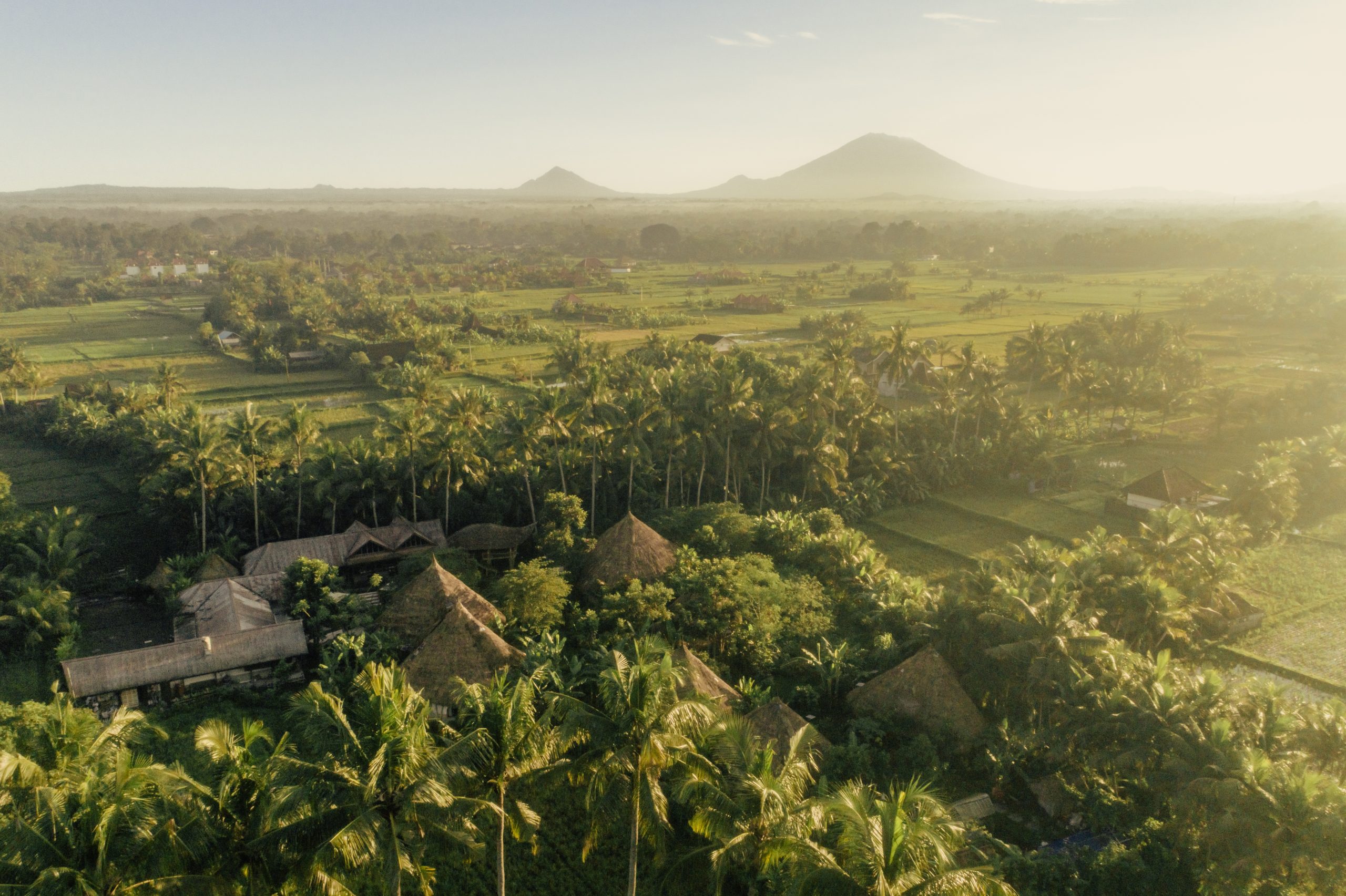Mana Earthly Paradise マナアースリーパラダイス
